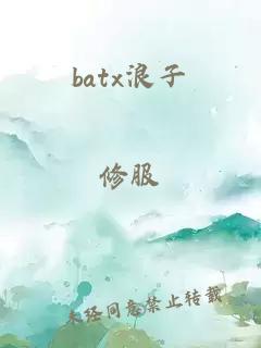 batx浪子