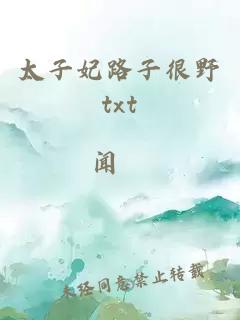 太子妃路子很野txt