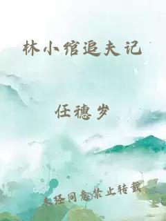 林小绾追夫记