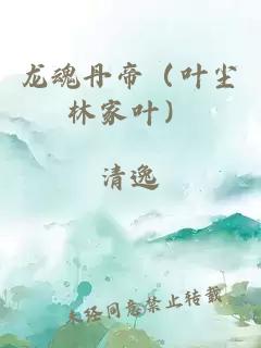 龙魂丹帝（叶尘林家叶）