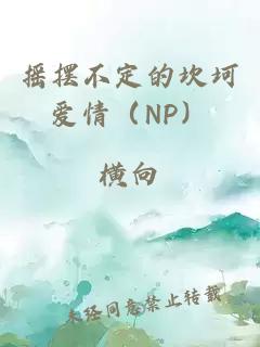 摇摆不定的坎坷爱情（NP）