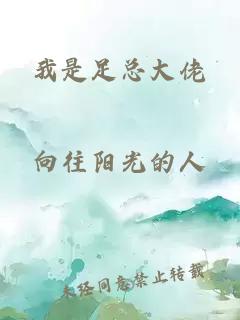 我是足总大佬