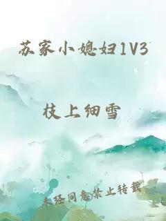 苏家小媳妇1V3