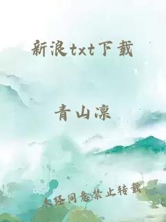 新浪txt下载