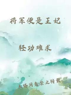 将军便是王妃