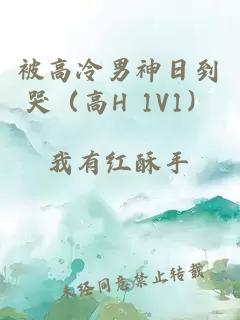 被高冷男神日到哭（高H 1V1）