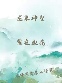 龙象神皇