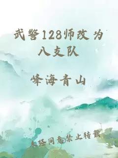 武警128师改为八支队