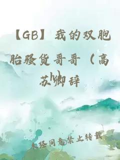 【GB】我的双胞胎骚货哥哥（高h）